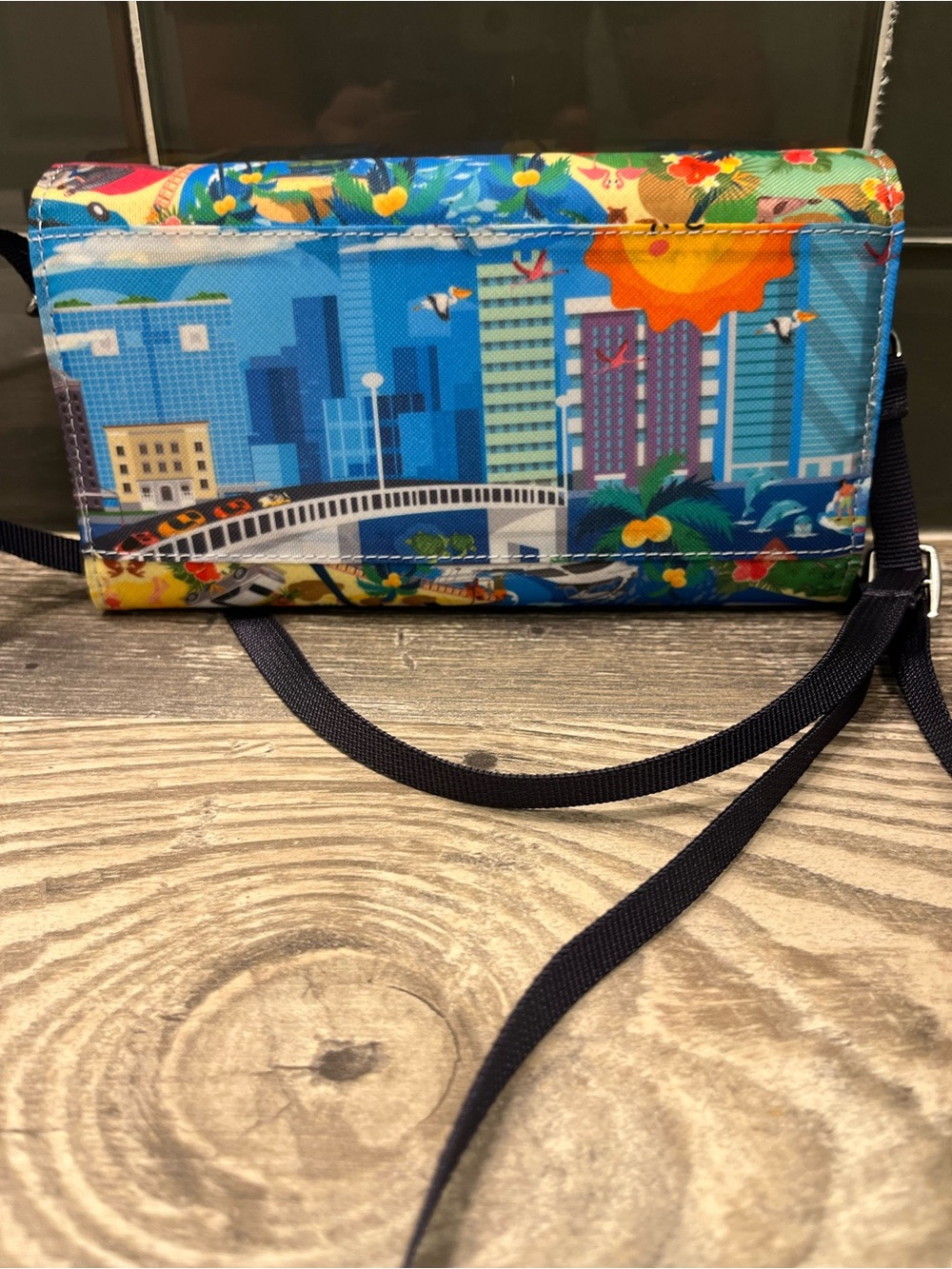 Sunshine State Multi-Color Crossbody Bag - Picture 4 of 8